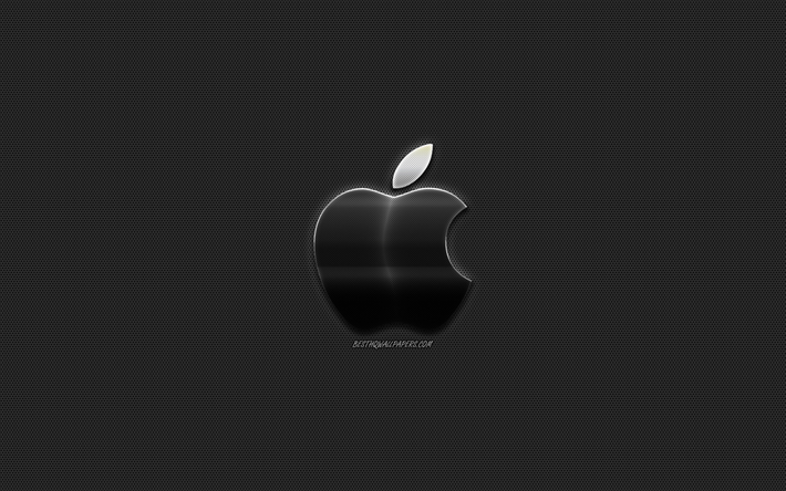 Apple-logo, tyylik&#228;s metallinen logo, tunnus, metalliverkosta, creative art, Apple