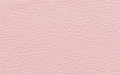 rosa de cuero de textura, texturas de cuero, close-up, el fondo de color rosado, de cuero fondos, macro, cuero