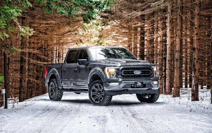 2021, Ford F-150, front view, gray pickup truck, new gray F-150, F-150 tuning, American cars, Ford
