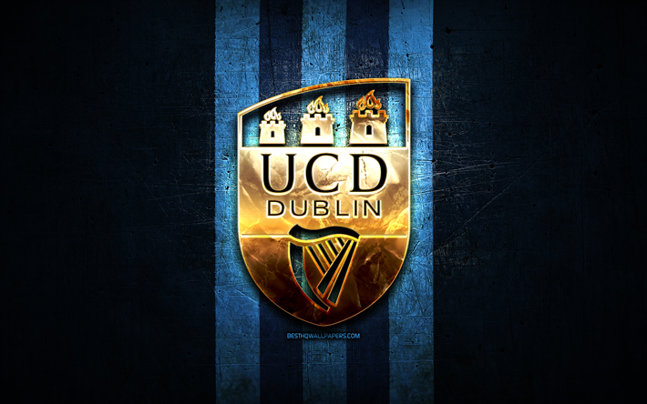 uc dublin, logo dor&#233;, league of ireland premier division, fond bleu m&#233;tal, football, club de football irlandais, logo uc dublin, university college dublin fc