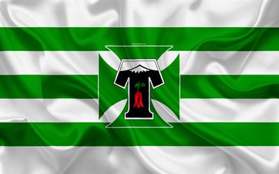 Esportes Coimbra FC, 4k, Chilena de futebol do clube, textura de seda, logo, verde bandeira branca, emblema, Chileno Primera Divis&#227;o, Temuco, Chile, futebol, CD Temuco