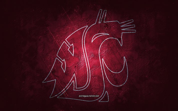 Washington State Cougars, &#233;quipe de football am&#233;ricain, fond bourgogne, logo des Cougars de l&#39;&#201;tat de Washington, art grunge, NCAA, football am&#233;ricain, embl&#232;me des Cougars de l&#39;&#201;tat de Washington