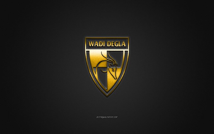 Wadi Degla SC, Egyptian football club, gold logo, gray carbon fiber background, Egyptian Premier League, football, Cairo, Egypt, Wadi Degla SC logo