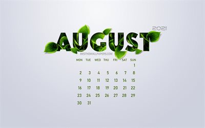 August 2021 Calendar, eco concept, green leaves, August, white background, 2021 summer calendar, 2021 concepts, 2021 August Calendar