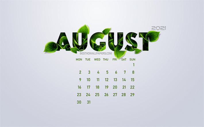 تقويم أغسطس 2021, مفهوم بيئي, اوراق خضراء, أغسطس, خلفية بيضاء, تقويم صيف 2021, 2021 مفاهيم, 2021 أغسطس التقويم