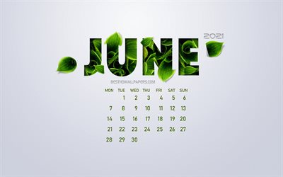 June 2021 Calendar, eco concept, green leaves, June, white background, 2021 summer calendar, 2021 concepts, 2021 June Calendar
