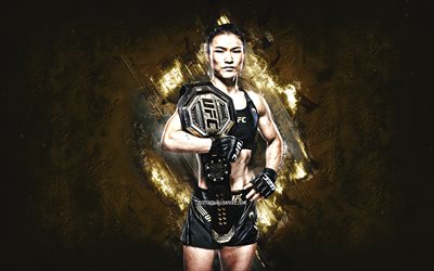 Zhang Weili, MMA, UFC, American fighter, yellow stone background, Zhang Weili art, Ultimate Fighting Championship, Trenton Joseph Brown, KLF