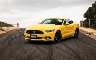 Ford Mustang, Sport auto, amarillo Mustang, coches americanos, Ford
