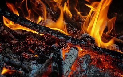 bonfire, fire, flames, Smoldering coals