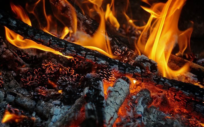 la hoguera, el fuego, las llamas Ardientes brasas