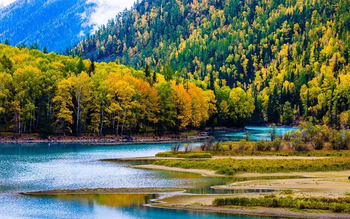 &#193;sia, outono, Kanas Lago, floresta, Xinjiang, China