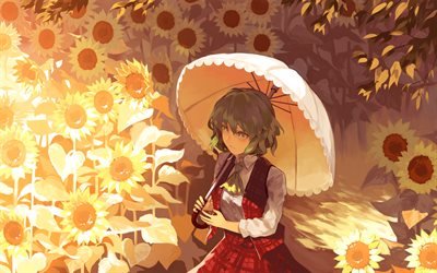 Kazami Yuuka, manga, guarda-chuva, arte, Touhou