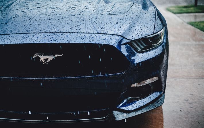 Ford Mustang, 2019, blue sports coupe, front view, exterior, new blue Mustang, american sports cars, Ford