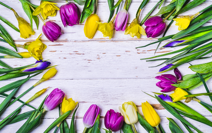colorful tulips frame, 4k, floral concepts, floral frames, gray wooden backgrounds, colorful tulips