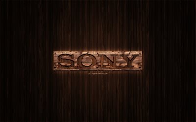 Sony-logotyp, tr&#228;-logotypen, tr&#228; bakgrund, Sony, emblem, varum&#228;rken, tr&#228;-konst