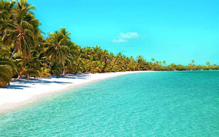 tropical island, summer, ocean, blue lagoon, palm trees, luxury beach, summer travel