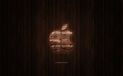 Apple logo, wooden logo, wooden background, Apple, emblem, brands, wooden art