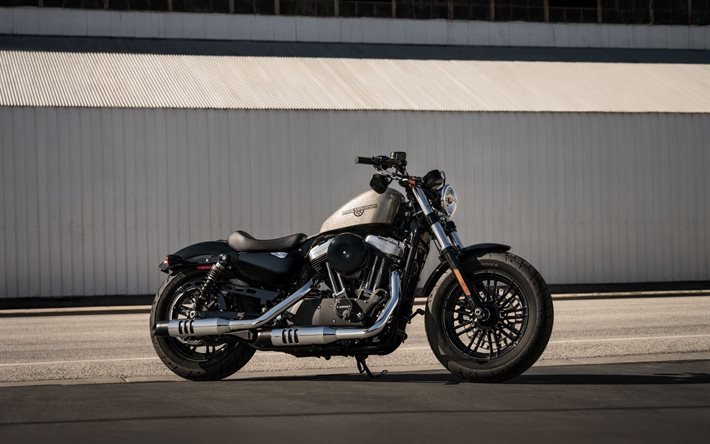 Harley-Davidson Forty-Eight, 2020, vista laterale, moto americane, new silver quarantotto, Harley-Davidson