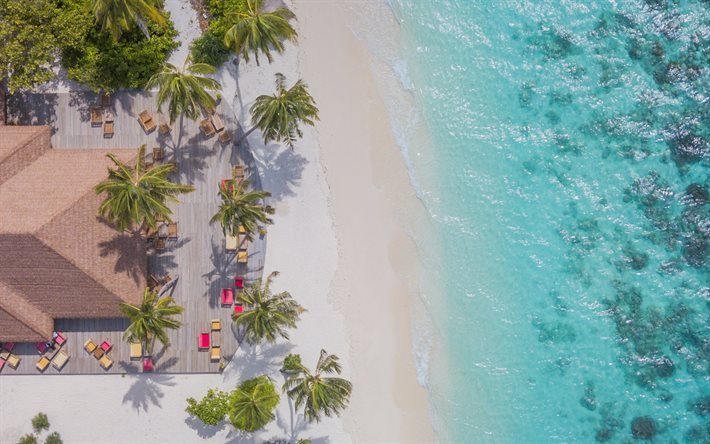 Maldives, beach aerial view, ocean, palm trees, top view, tropical island