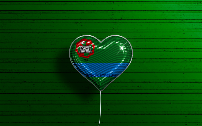 ジュンディアイ大好き, chk, リアルな風船, 緑の木製の背景, ジュンディアイの日, ブラジルの都市, ジュンディアイの旗, ブラジル, 旗が付いている気球, ジュンディアイ旗, ジュンディアイ