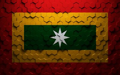 flagge von barranquilla, wabenkunst, barranquilla-sechseck-flagge, barranquilla-3d-sechseck-kunst, barranquilla-flagge