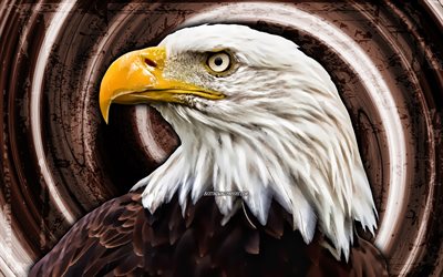 4k, Bald Eagle, brown grunge background, USA symbol, creative, birds of North America, vortex, eagle, Haliaeetus leucocephalus, Bald Eagle 4K