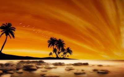 puesta de sol, mar, oc&#233;ano, las palmas, desenfoque, verano