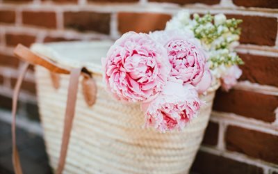 Pink peonies, beautiful flowers, bag, pink petals, peonies