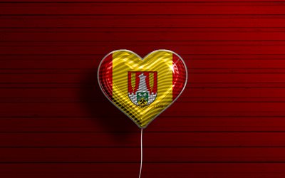 J&#39;aime Salzgitter, 4k, ballons r&#233;alistes, fond en bois rouge, villes allemandes, drapeau de Salzgitter, Allemagne, ballon avec drapeau, Salzgitter, jour de Salzgitter