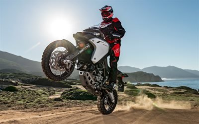 Ducati Multistrada 1260S, 4k, wheelie, 2018 bikes, desert, offroad, rider, Ducati