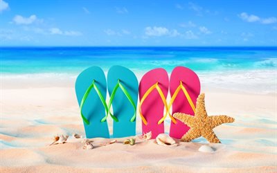 Accessori da spiaggia, sabbia, spiaggia, pantofole, estate, vacanze, mare, stelle marine, conchiglie