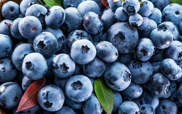 Blueberries, berries, macro, big blueberries