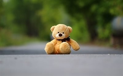 Teddy bear, road, cute toys, orange bear