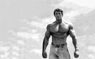 Arnold Schwarzenegger, Amerikansk sk&#229;despelare, unga Schwarzenegger, muskler av st&#229;l, Bodybuilding