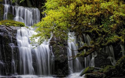 PBeautiful waterfall, green tree, lake, forest, urakanui Falls, New Zealand, Otago, Tarara