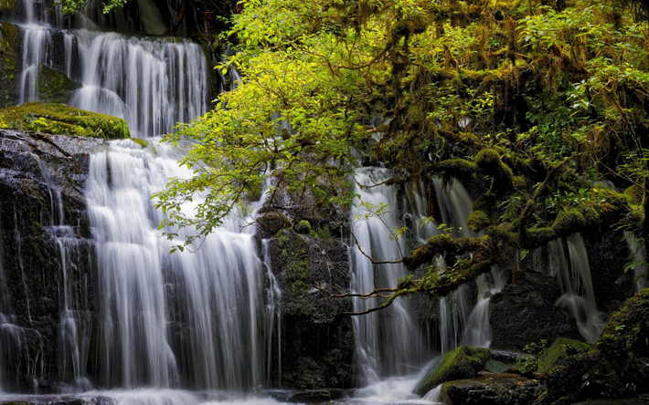 PBeautiful cachoeira, &#225;rvore verde, lago, floresta, urakanui Se, Nova Zel&#226;ndia, Otago, Tarara