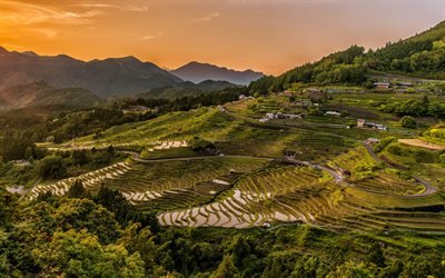China, campos de arroz, puesta de sol, colinas, Asia