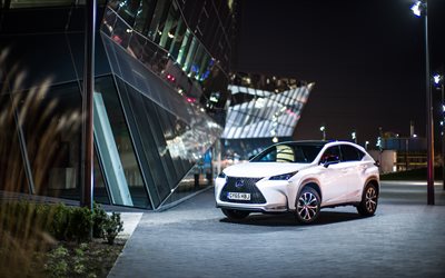 4k, Lexus NX, la noche de 2018 autos, crossovers, de la calle, blanco NX, Lexus