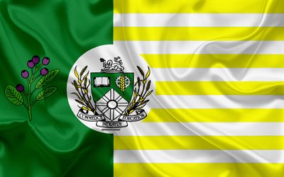 Lipun Saskatoon, 4k, silkki tekstuuri, Kanadan kaupunki, vihre&#228; keltainen silkki lippu, Saskatoon lippu, Saskatchewan, Kanada, art, Pohjois-Amerikassa, Saskatoon