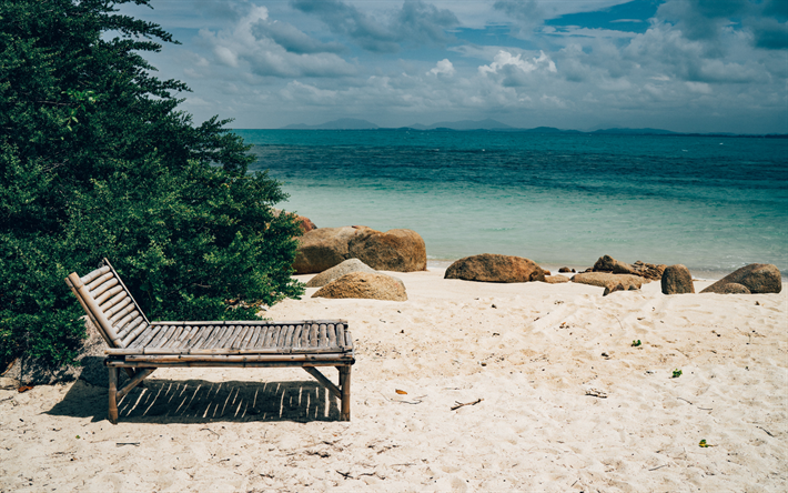 praia, chaise longue, ilha tropical, noite, oceano, ver&#227;o, turismo, grande arbusto verde na praia