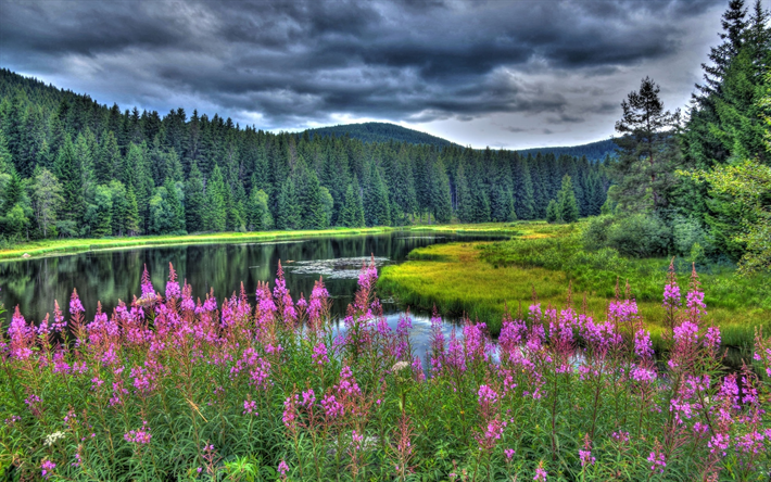 Germany, lake, forest, summer, clouds, HDR, Europe