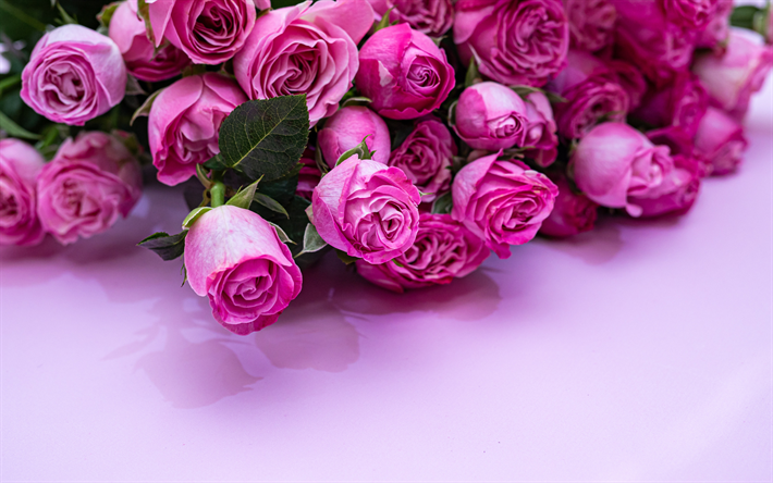 ピンク色のバラ, ピンクの花の背景, ブーケのバラの花, ピンクの花, バラ