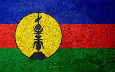 Bandiera della Nuova Caledonia, cemento texture di pietra, sfondo, Nuova Caledonia bandiera, Oceania, Nuova Caledonia, le bandiere sulla pietra