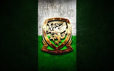 ウェールズサッカーチーム, ゴールデンマーク, 欧州, UEFA, 緑色の金属の背景, サッカー, 一汽ロゴ, ウェールズ