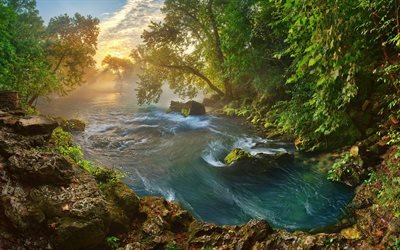 Amerika, morgon, vacker natur, river, skogen, Missouri, USA