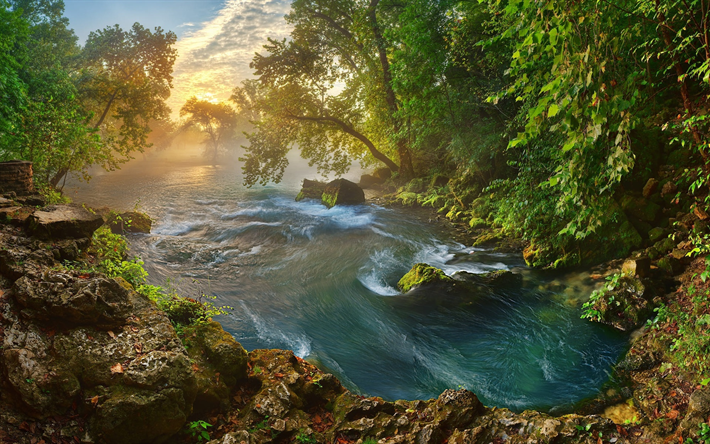 Amerika, sabah, g&#252;zel bir doğa, nehir, orman, Missouri, ABD