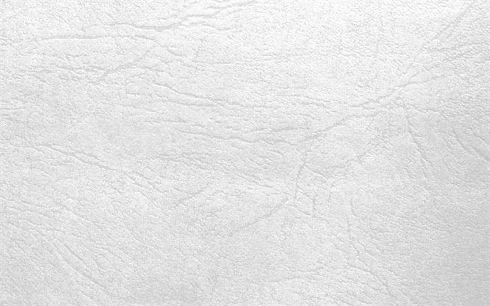 en cuir blanc de texture, en cuir blanc, arri&#232;re-plan, de tissus, de textures, cuir textures