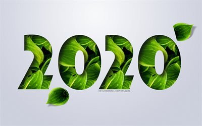 2020 A&#241;o, los n&#250;meros de hojas verdes, 2020 A&#241;o concepto, Feliz Nuevo A&#241;o 2020, fondo blanco, eco conceptos