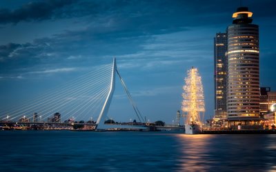 Erasmus Bridge, Rotterdam, Netherlands, city lights, cable-stayed bridge