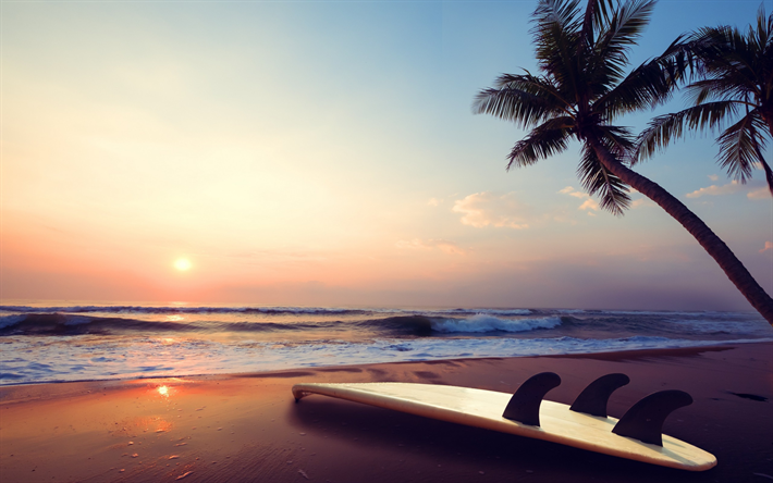 oceano, praia, palmeira, prancha de surf, palmeiras, ilha tropical, ver&#227;o